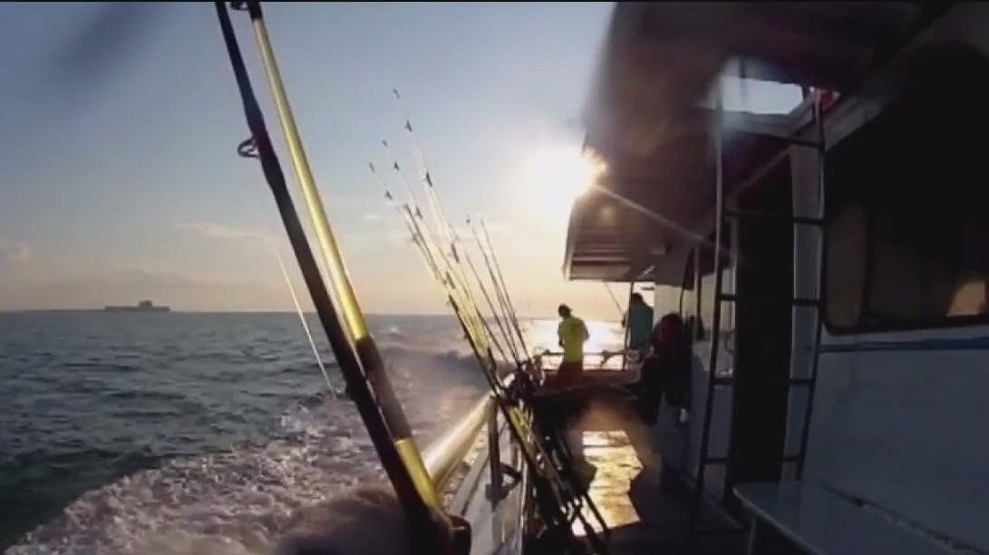 Expanding Florida's sports coast